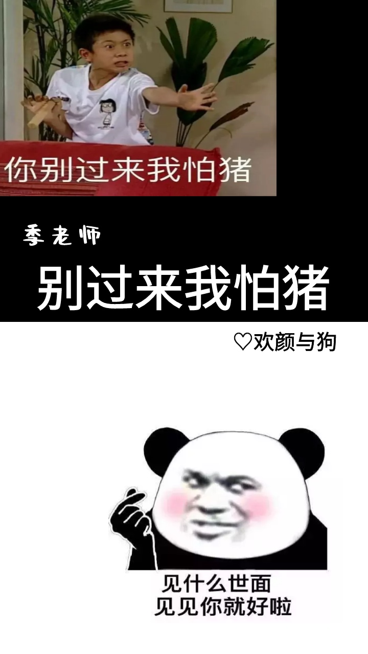 别过来我怕猪什么意思啊