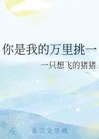 千载难逢和万里挑一哪个好