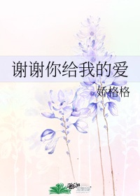 该怎么感谢你歌曲