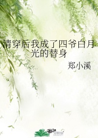 清穿后我成了四爷白月光的替身简介免费阅读