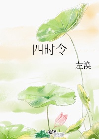 时令茶有哪些