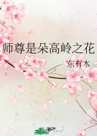 师尊是朵高岭之花 东有木讲的是什么