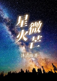 星火微芒小说