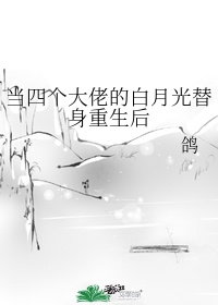 给四位大佬当备胎后 小说