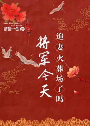 将军追妻火葬场推文