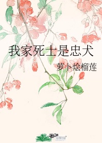 《我家死士是忠犬》小说