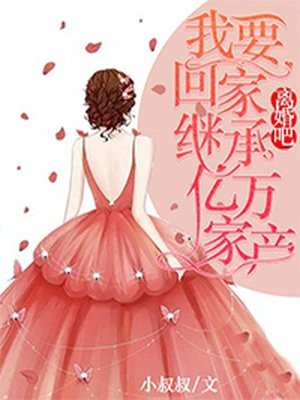 小说名《离婚吧