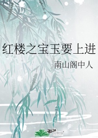 【红楼】宝玉不想努力了