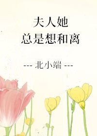 夫人总是想离婚免费阅读