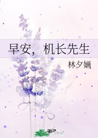 我的机长先森