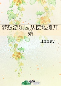 梦想游乐园从摆地摊开始作者:linnay