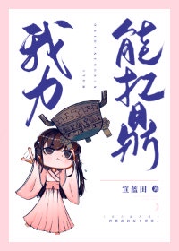 我力能扛鼎 作者:宣蓝田