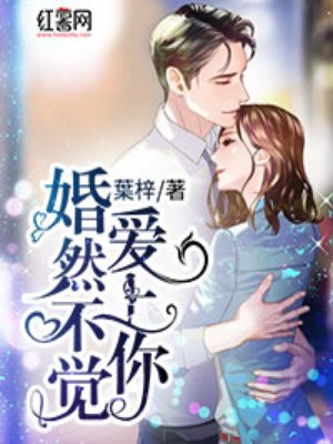 婚然不觉爱过你免费全文