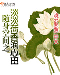 随身空间之平淡人生 叶灵花花