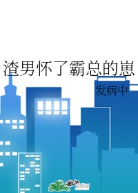 渣男怀了霸总的崽162章在线阅读