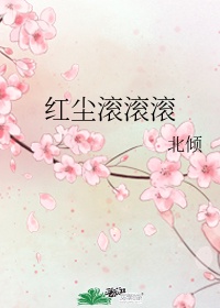 红尘滚滚滚主题曲叫什么