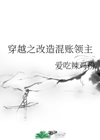 《穿越之改造混账领主》小说