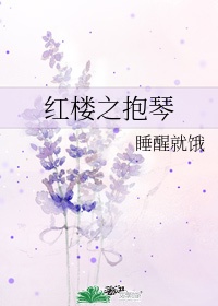 红楼琴断歌曲纯音乐伴奏