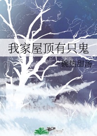 屋顶小鬼落点什么意思