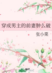 穿成男主的前妻 作者:沧澜弄月