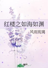 红楼之如海他妹作者:沙泪紫