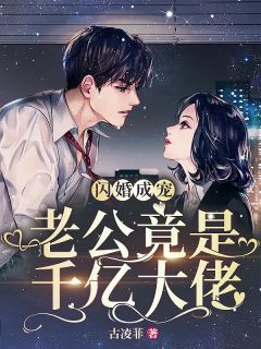 《闪婚v5