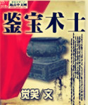 鉴宝师小说