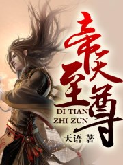 至尊帝师至尊帝师叶天决