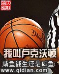 nba2kol2卢克沃顿经理人