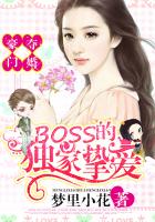 boss难当88章